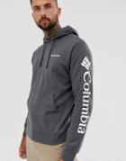 Columbia Viewmont Ii Sleeve Graphic Hoodie In Gray