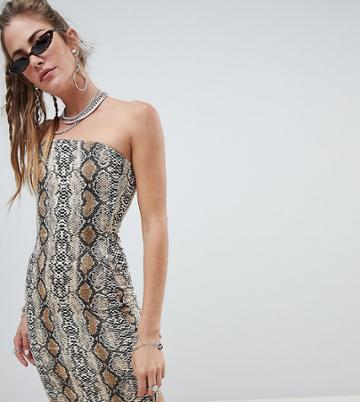 One Above Another Bodycon Bandeau Dress In Snake Print - Multi