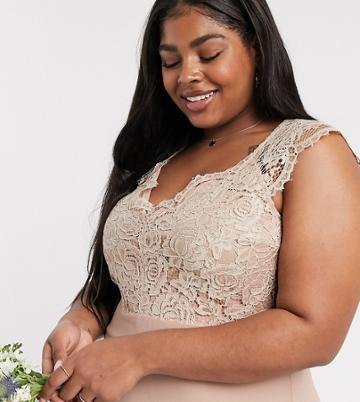 Tfnc Bridesmaid Plus Scalloped Lace Top Dress-brown
