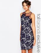 Little Mistress Tall Scallop Lace Shift Dress - Navy