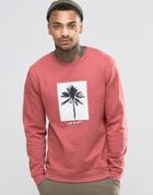Asos Sweatshirt With Palm Tree Woven Patch Print - Pink