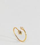Kingsley Ryan Gold Plated Spray Star Ring - Gold