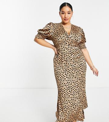 Never Fully Dressed Plus Lindos Button Maxi Dress In Leopard Print-brown