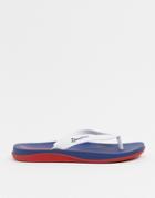 Ipanema Anatomic Lapa Flip Flops In Navy/white