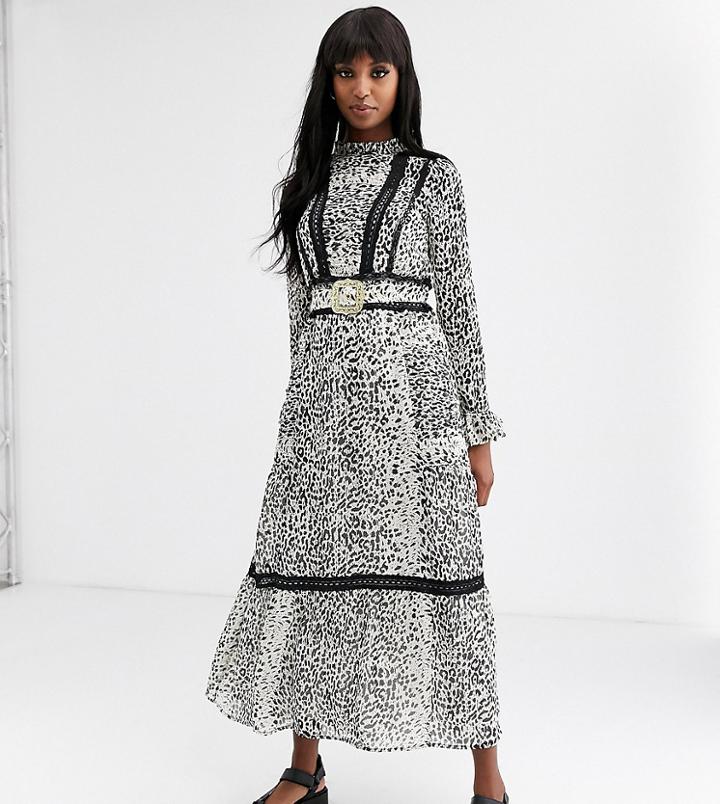 Asos Design Tall Lace Insert Maxi Dress With Buckle Belt In Leopard Print-multi