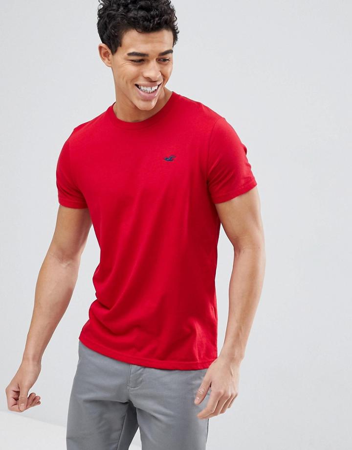 Hollister Crew Neck T-shirt Seagull Logo In Jester Red - Red