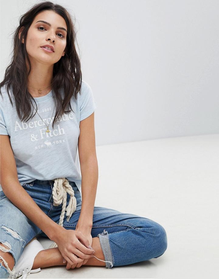 Abercrombie & Fitch Moose Logo T Shirt - Blue
