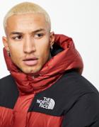 The North Face Himalayan Down Parka Hooded Jacket In Burgundy-red