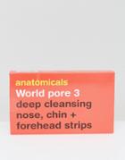 Anatomicals World Pore 3 - Deep Cleansing Nose Chin & Forehead Strips-no Color