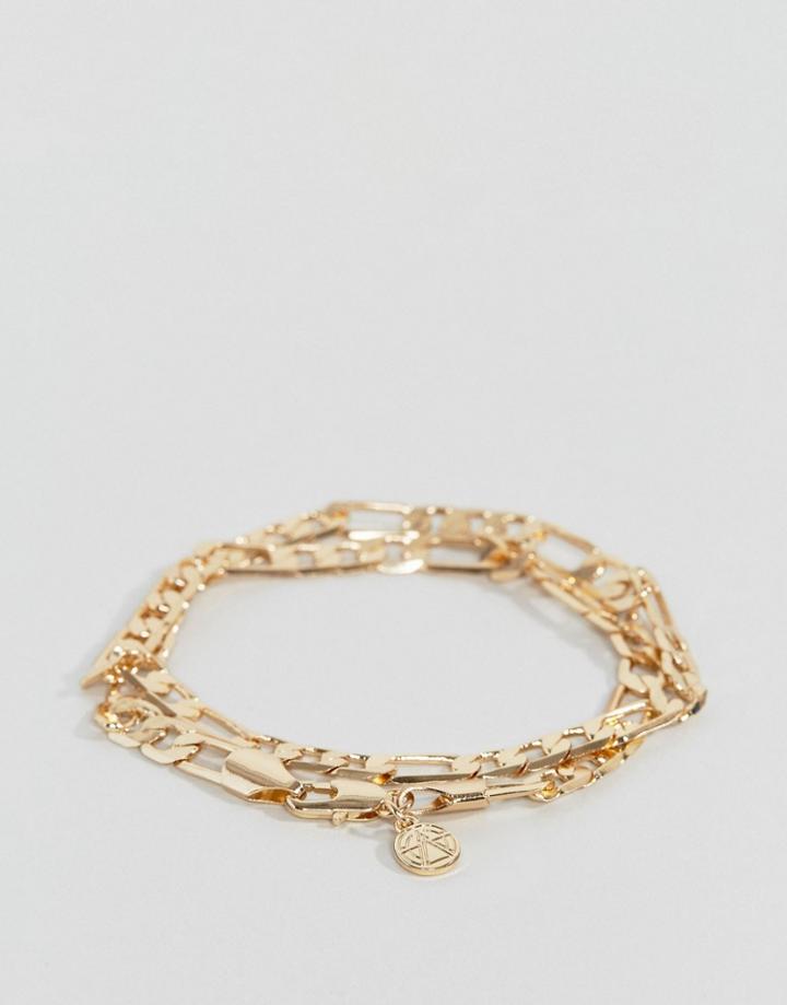 Chained & Able Double Wrap Royal Figaro Chain Bracelet In Gold - Gold