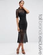 Jarlo Tall Cutwork Lace Overlay Midi Dress - Black