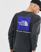 The North Face Raglan Red Box Crew Neck In Gray - Gray