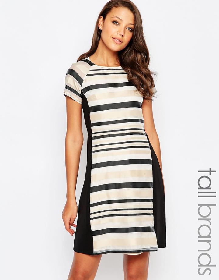 Little Mistress Tall Dress With Striped Panels - Print