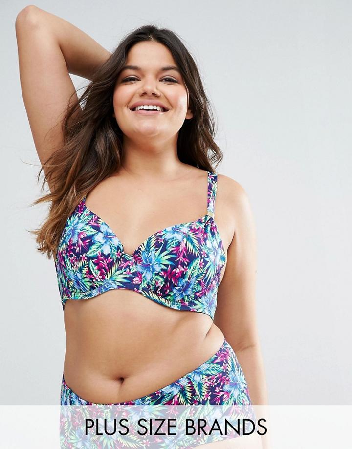 Dorina Plus Size Paradise Underwired Bikini Top - Multi