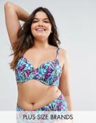 Dorina Plus Size Paradise Underwired Bikini Top - Multi