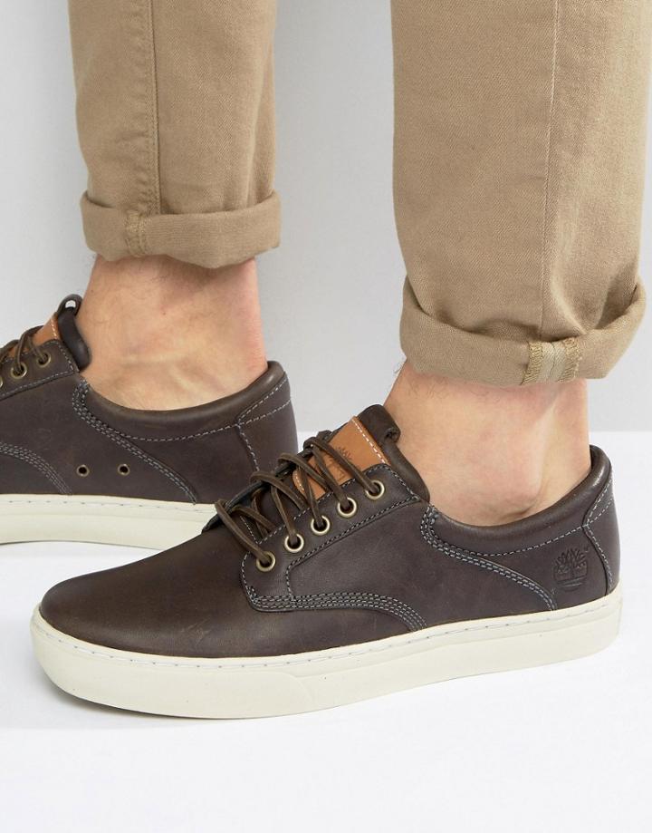 Timberland Adventure Cupsole Shoes - Brown