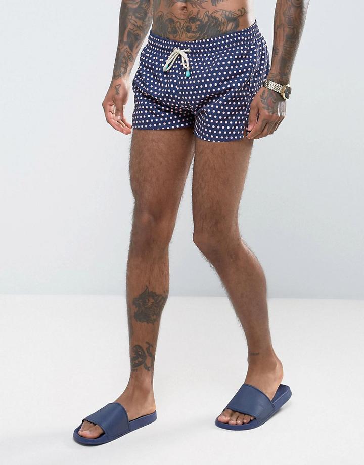 Oiler & Boiler Tuckerneck Swim Short In Polka Dot Blue - Blue