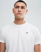 Hollister Core Crew Neck T-shirt Seagull Logo In White - White