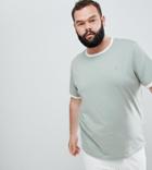 Farah Plus Groves Slim Fit Ringer T-shirt In Light Green - Green