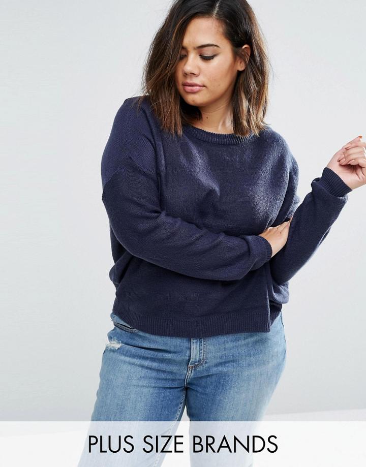 Bravesoul Plus Sweater - Blue