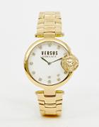 Versus Versace Buffle Bay Sp8711 0018 Bracelet Watch In Gold - Gold