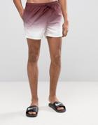 Asos Swim Shorts In Dip Dye Burgundy Short Length - Red