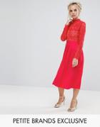Little Mistress Petite Premium Lace Pleated Midi Dress - Red