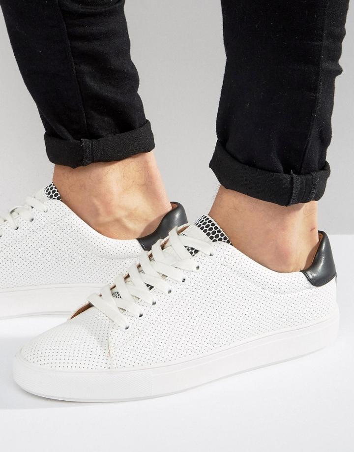 Steve Madden Hester Sneakers - White