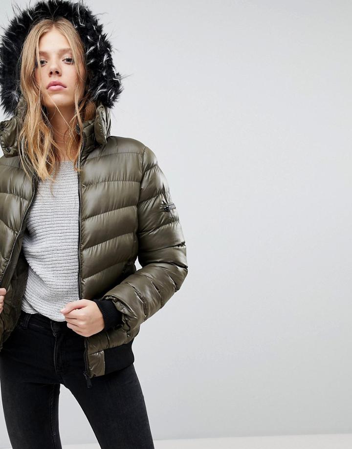 Qed London Short Padded Jacket With Hood-green