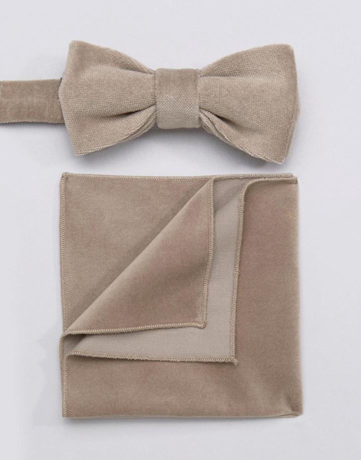 Devils Advocate Velvet Bow Tie And Pocket Square - Brown