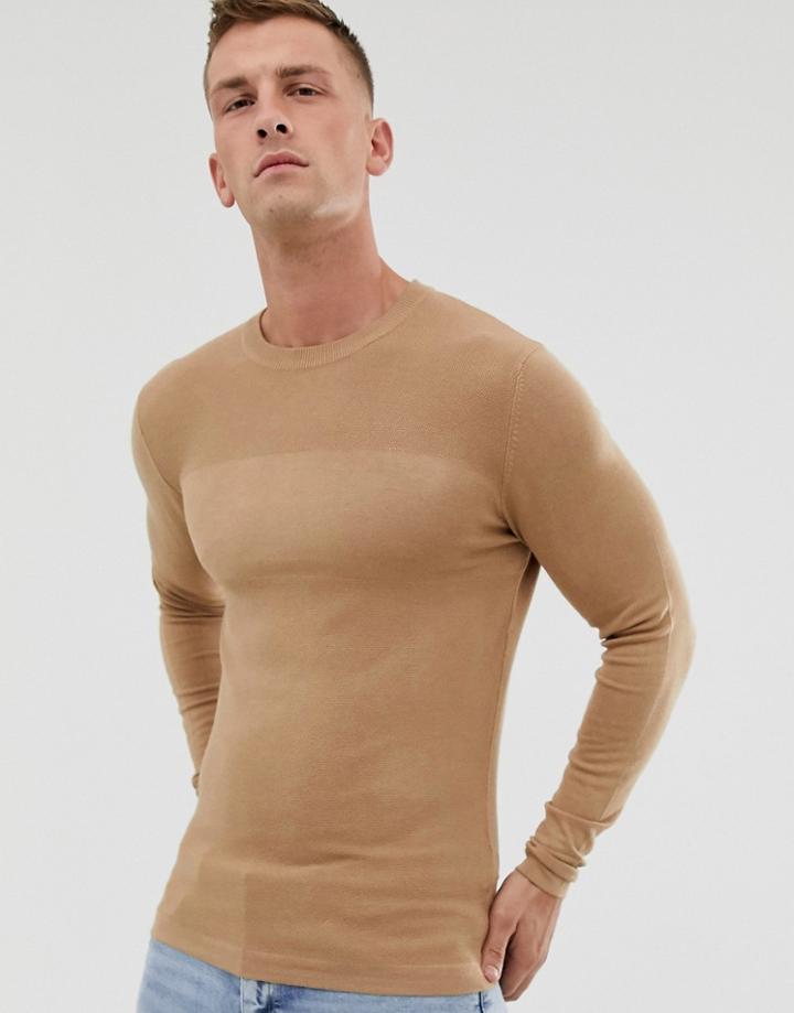 River Island Crew Neck Sweater In Navy-tan