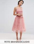 Chi Chi London Petite Allover Lace Tulle Full Prom Midi Skirt - Pink