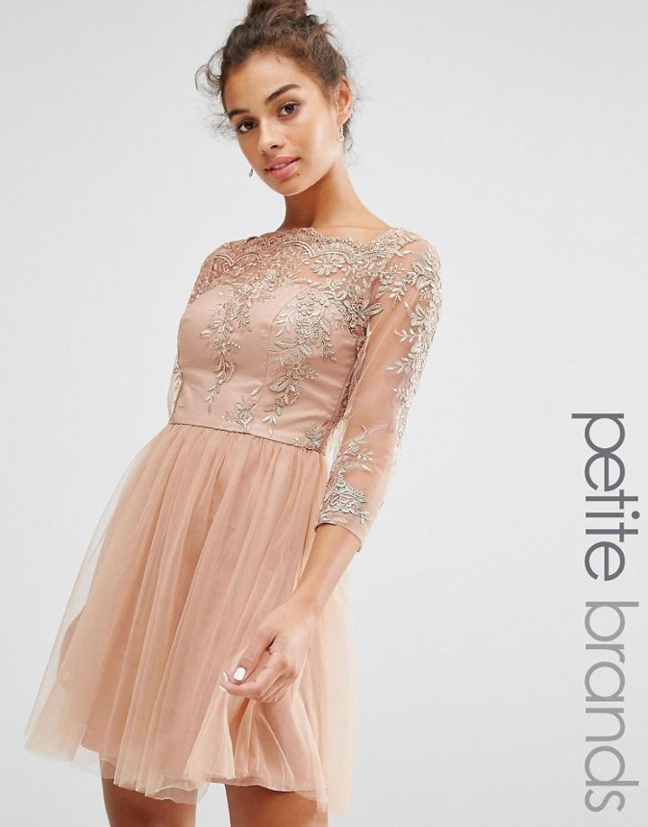 Chi Chi London Petite Allover Premium Embroidered Lace Mini Dress With Tulle Skirt - Tan
