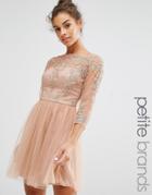 Chi Chi London Petite Allover Premium Embroidered Lace Mini Dress With Tulle Skirt - Tan