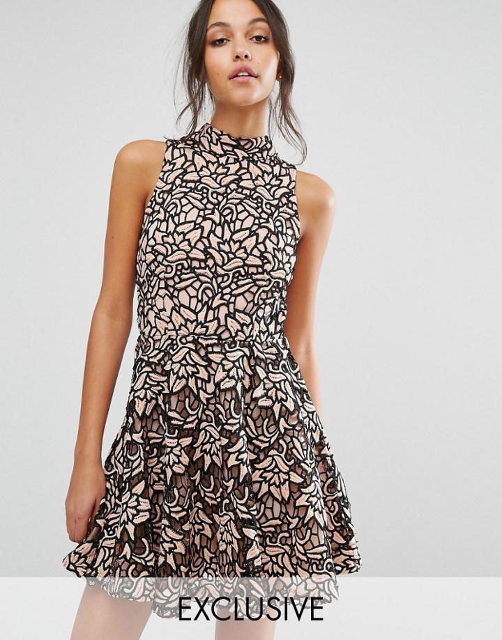 Missguided High Neck Contrast Lace Skater Dress - Beige