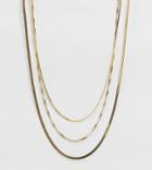 Asos Design 14k Gold Plated Multirow Necklace In Fine Curb And Snake Chains