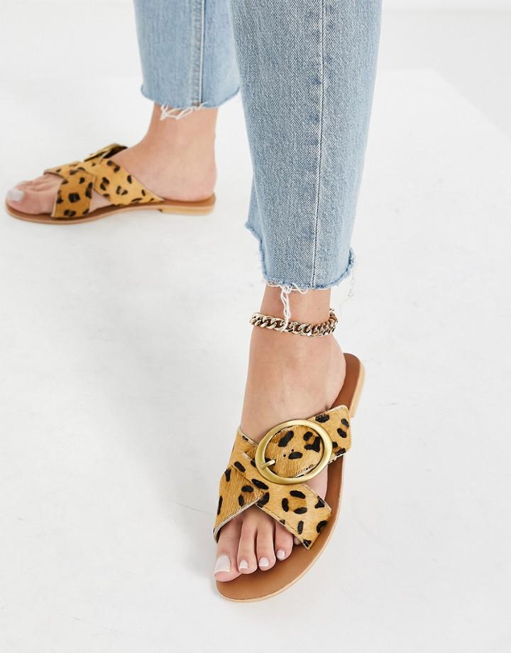 Warehouse Crossover Sandal With Buckle In Multi Animal