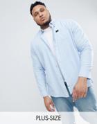 Replika Plus Oxford Shirt In Blue - Blue