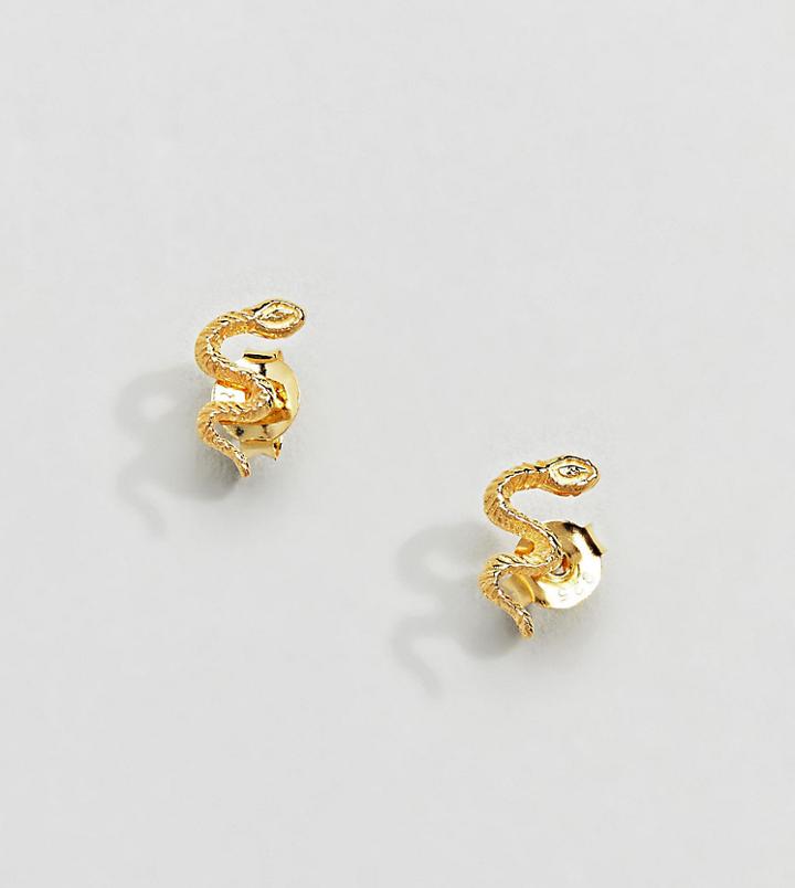 Kingsley Ryan Exclusive Sterling Silver Gold Plated Snake Stud Earrings