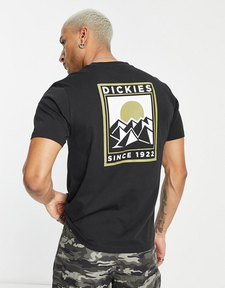 Dickies Pacific T-shirt In Black