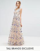 True Decadence Tall Premium Floral Embroidered Maxi Dress - Multi