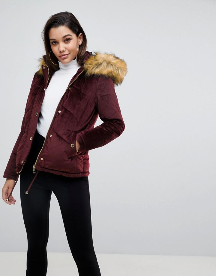 Lipsy Velvet Puffer Jacket With Faux Fur Hood And Gold Trims - Red