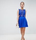Asos Design Petite Lace Jumper Mini Dress-blue