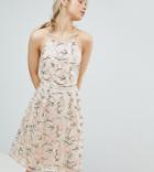 Dolly & Delicious All Over Embroidered Floral Lace High Neck Midi Prom Dress - Multi