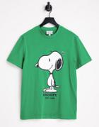 Lacoste X Peanuts Snoopy T-shirt In Green