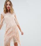 Asos Design Petite Fringe & Sequin Sheer Midi Dress - Pink