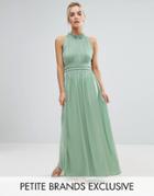 Little Mistress Petite Ruched Pleated Maxi Prom Dress - Green