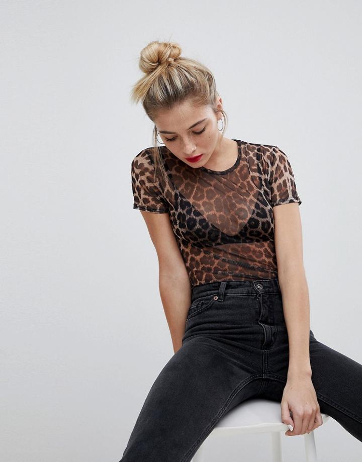Daisy Street Shrunken T-shirt In Leopard Print Mesh - Brown