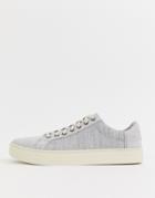 Toms Lenox Chambray Trainers In Grey-gray