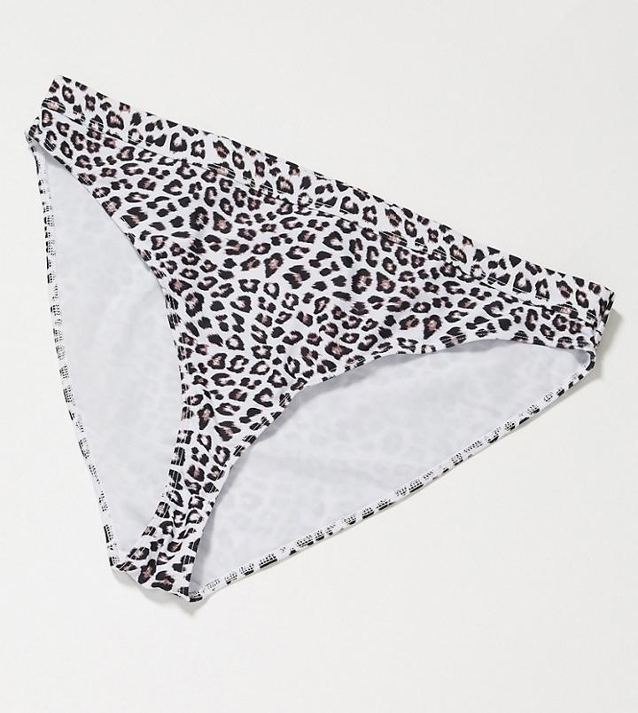Wolf & Whistle Curve Exclusive High Waist Bikini Bottom In Animal Print-multi